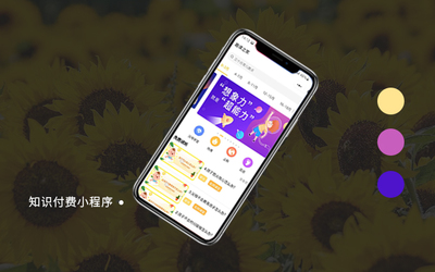 微信小程序公众号定制开发|购物商城|短视频|电商分销|H5