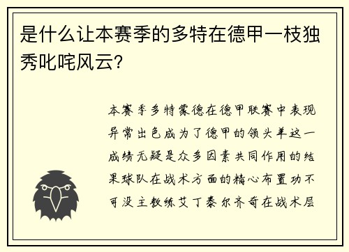 是什么让本赛季的多特在德甲一枝独秀叱咤风云？